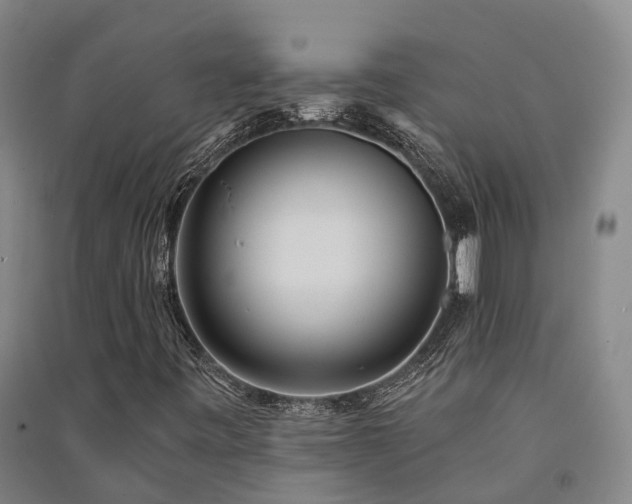 X0000091561443200708171316