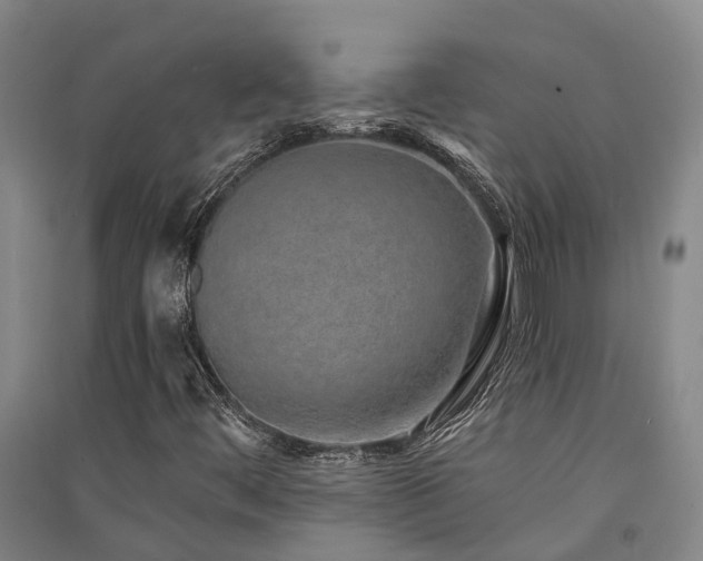 X0000091561444200708171316