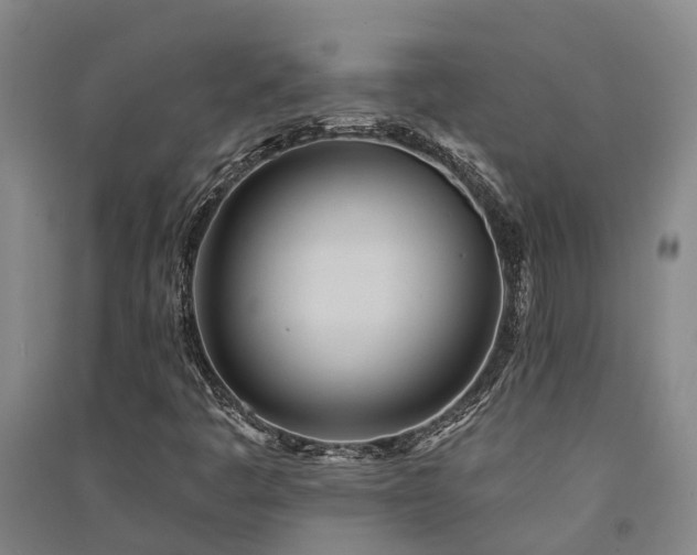 X0000091561445200708171316