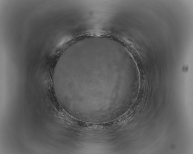 X0000091561446200708171316