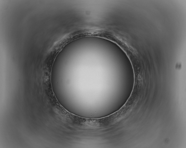 X0000091561447200708171316