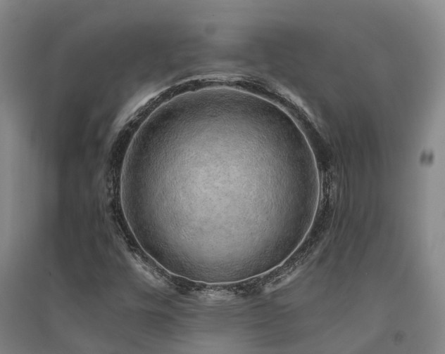 X0000091561448200708171316