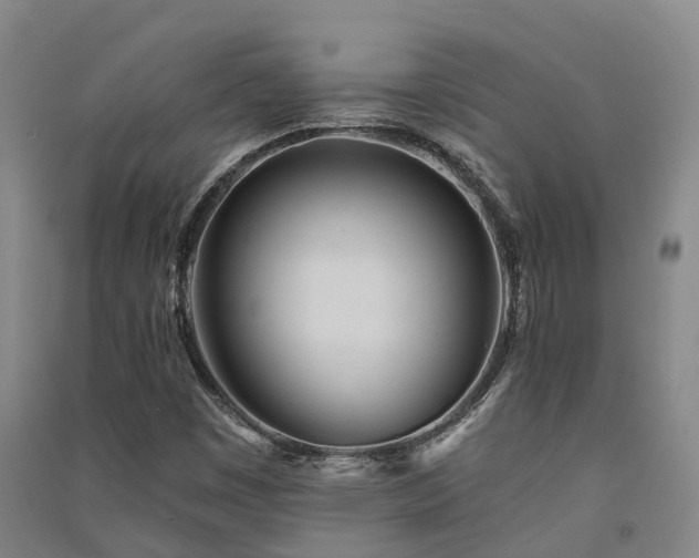 X0000091561449200708171316