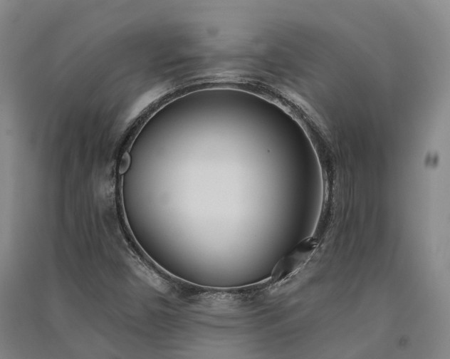 X0000091561450200708171316