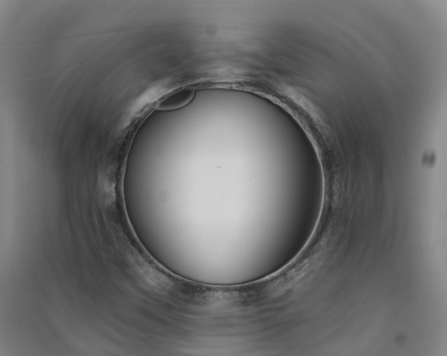 X0000091561451200708171316