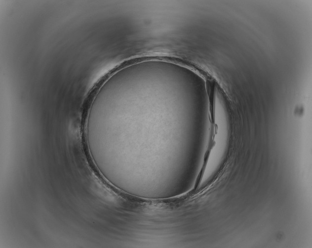 X0000091561452200708171316