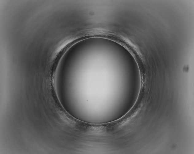 X0000091561453200708171316