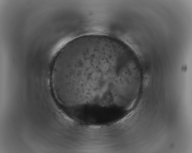 X0000091561455200708171316