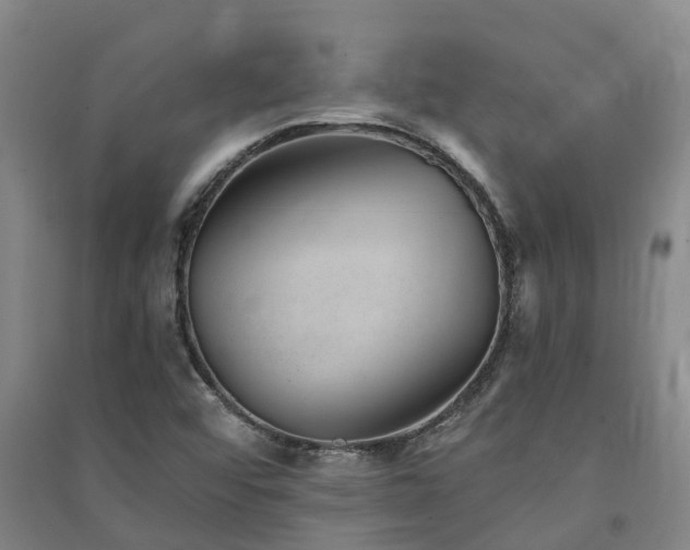 X0000091561456200708171316