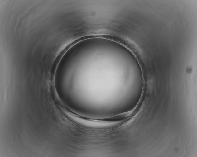 X0000091561457200708171316