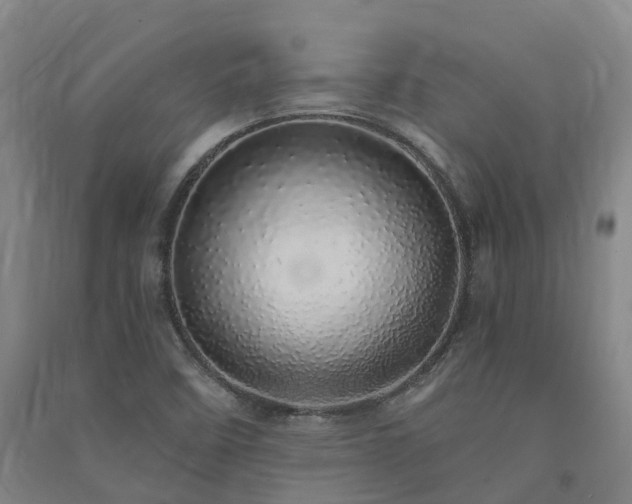 X0000091561458200708171316