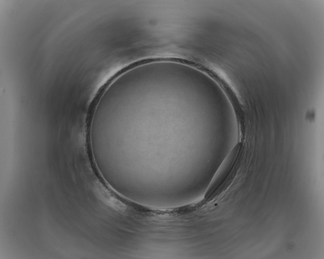 X0000091561460200708171316