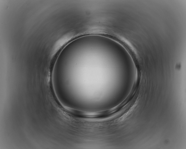 X0000091561461200708171316