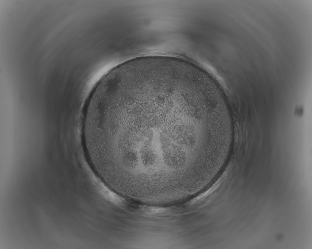 X0000091561463200708171316