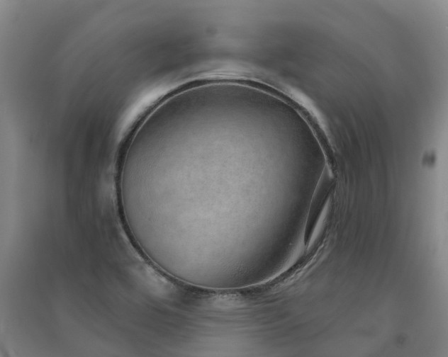 X0000091561464200708171316