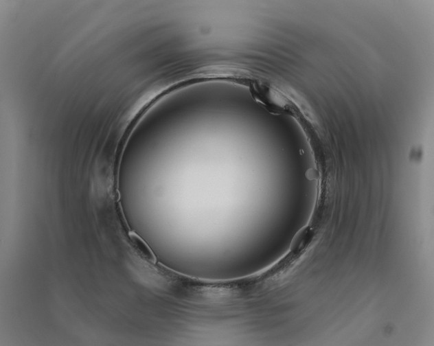 X0000091561465200708171316