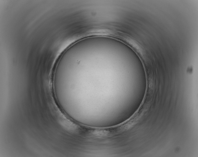 X0000091561466200708171316