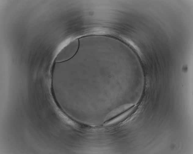 X0000091561467200708171315