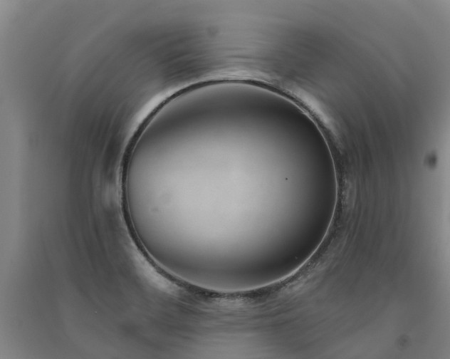 X0000091561468200708171315