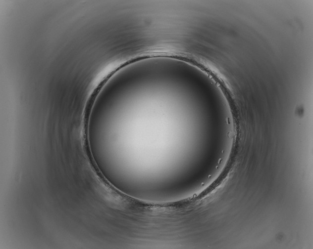 X0000091561469200708171315