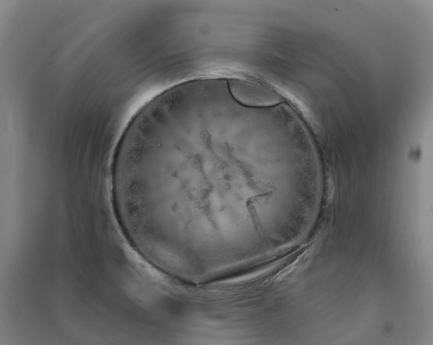 X0000091561471200708171315