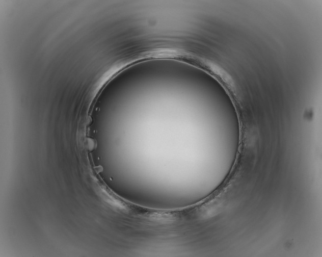 X0000091561473200708171315