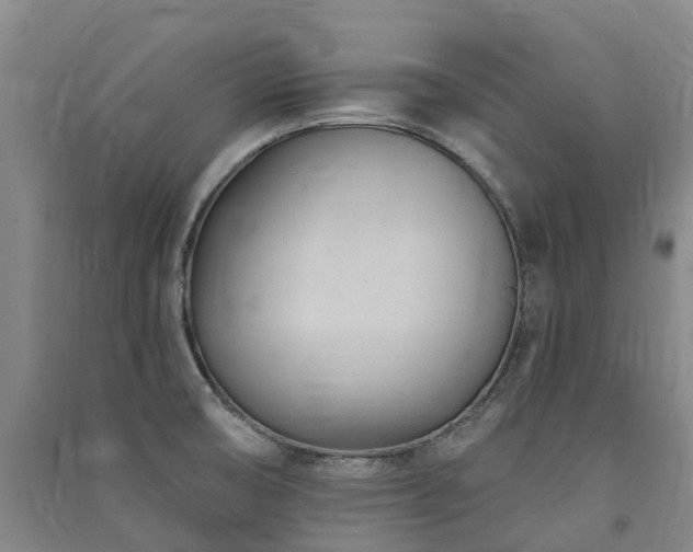 X0000091561474200708171315