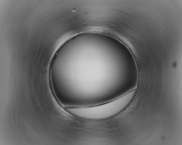 X0000091561475200708171315