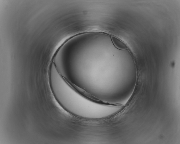 X0000091561476200708171315