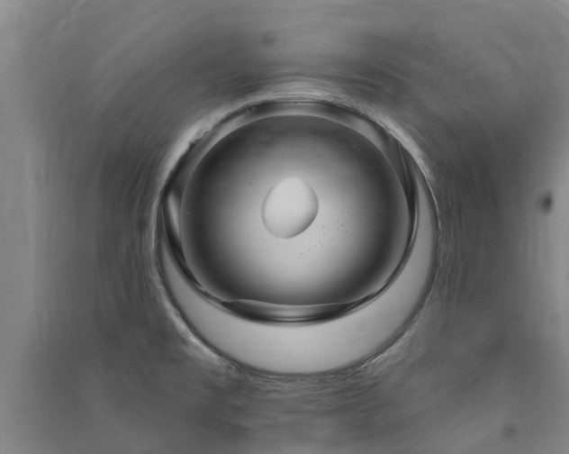 X0000091561477200708171315