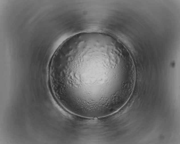 X0000091561479200708171315