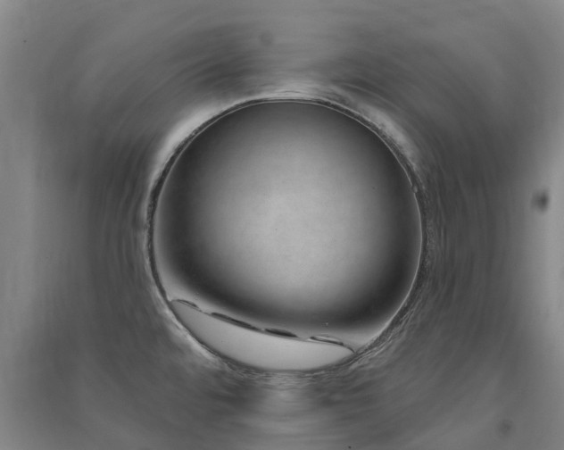 X0000091561480200708171315