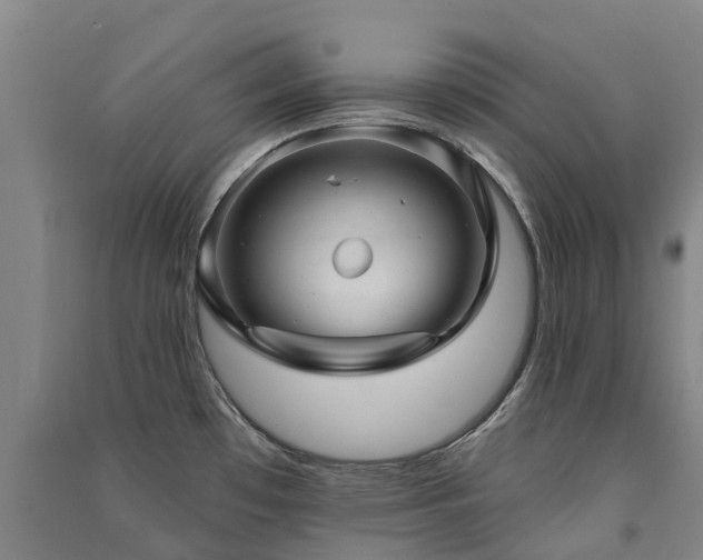 X0000091561481200708171315