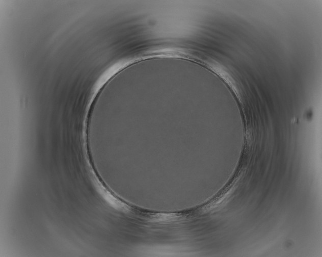 X0000091561482200708171315