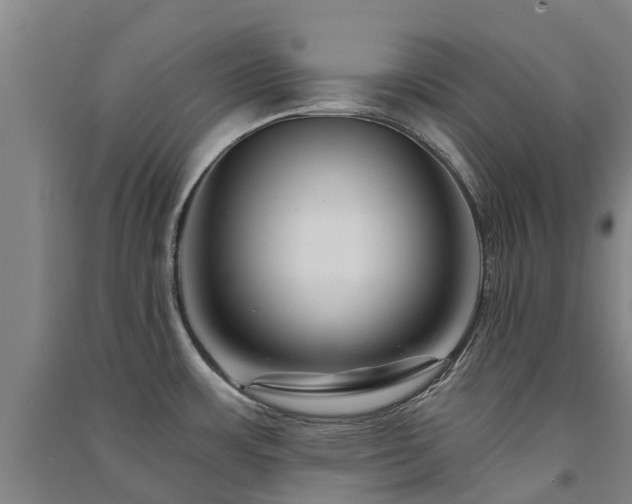 X0000091561483200708171315