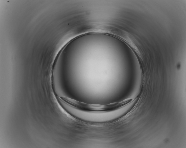 X0000091561484200708171315