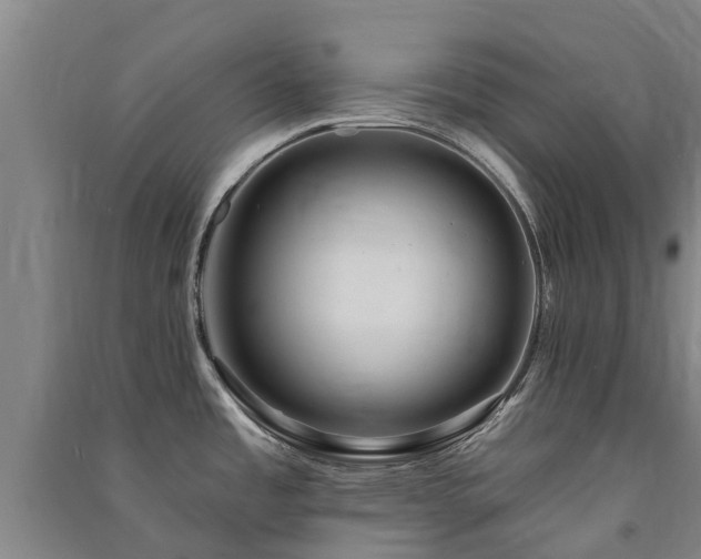 X0000091561485200708171315