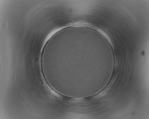 X0000091561486200708171315