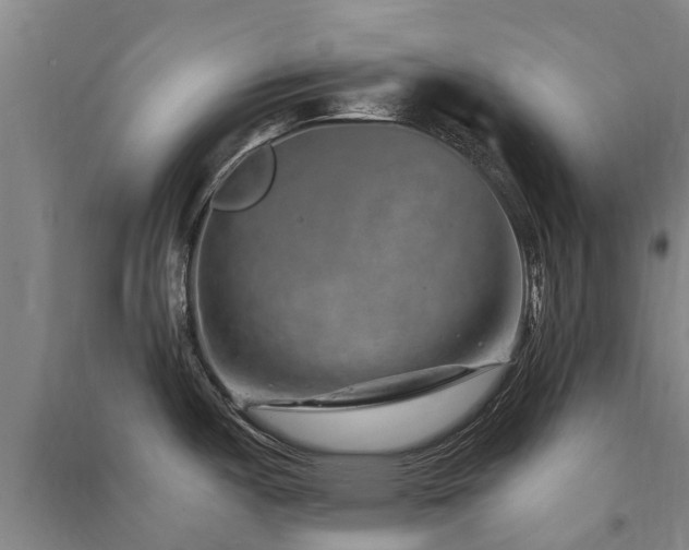 X0000091561487200708171315