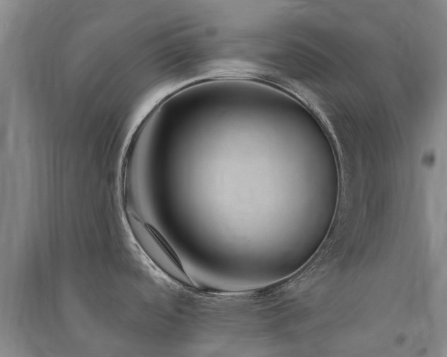 X0000091561488200708171315