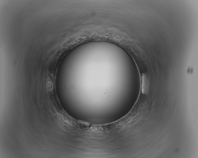 X0000091561491200708171315