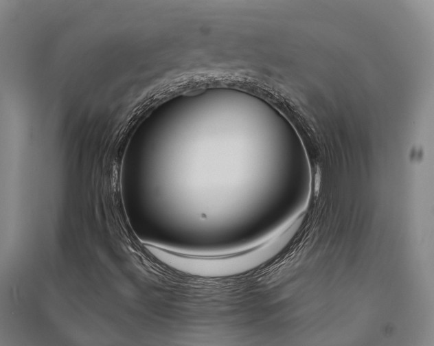 X0000091561492200708171315