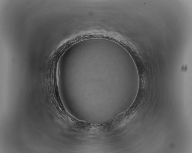 X0000091561494200708171315