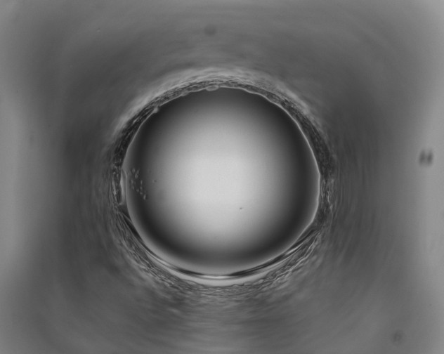 X0000091561496200708171315