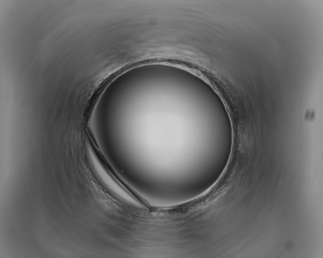 X0000091561497200708171315