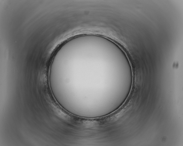 X0000091561498200708171315