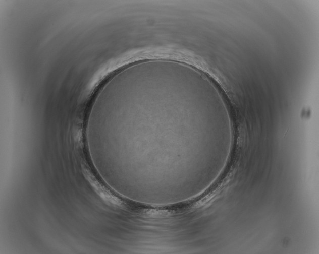 X0000091561499200708171315