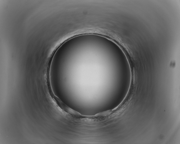 X0000091561500200708171315