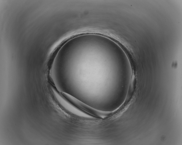 X0000091561502200708171315