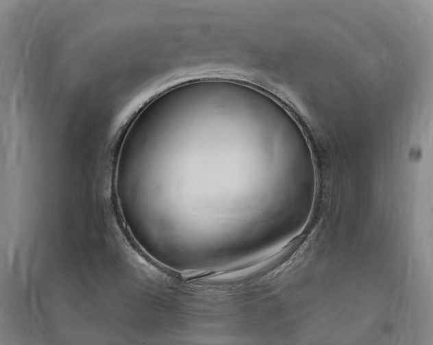 X0000091561504200708171315